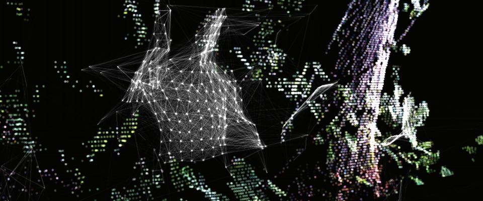 Avian Attractor