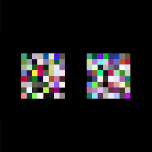 Sean Clark Computational Constructs