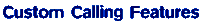 Custom Calling Features