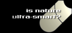 [is nature ultra-smart]