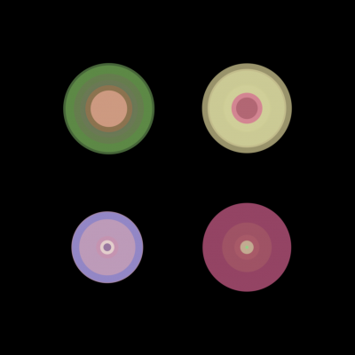 Sean Clark - Four Circles