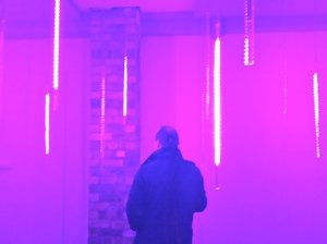 Simaesthesia / Craig Clarke