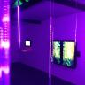 Simaesthesia / Memory Mirror