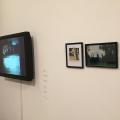 Gee Vaucher Retrospective 2016