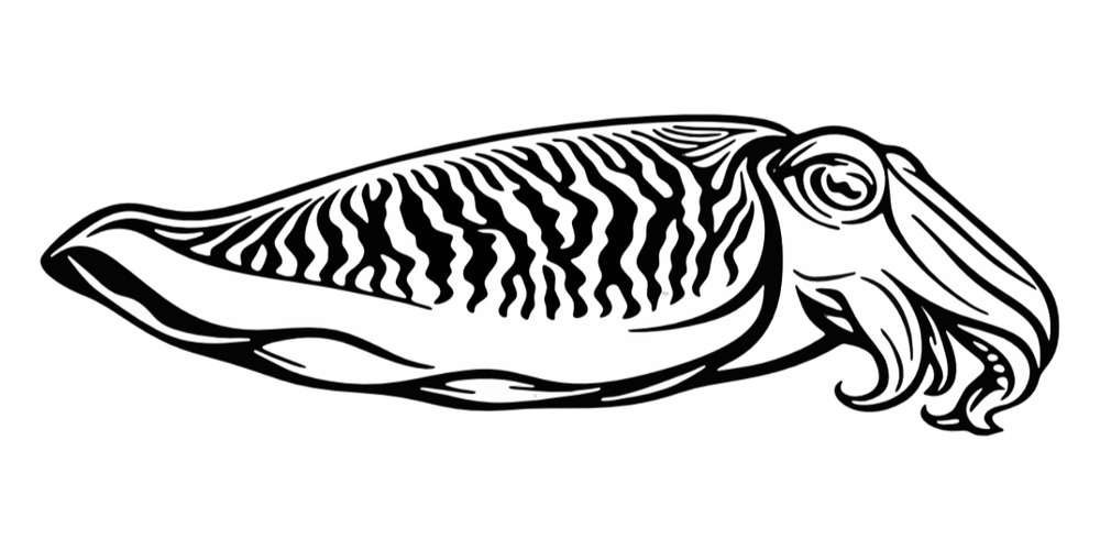 Agent Cuttlefish Logo