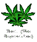 7. Heal (The Separation)