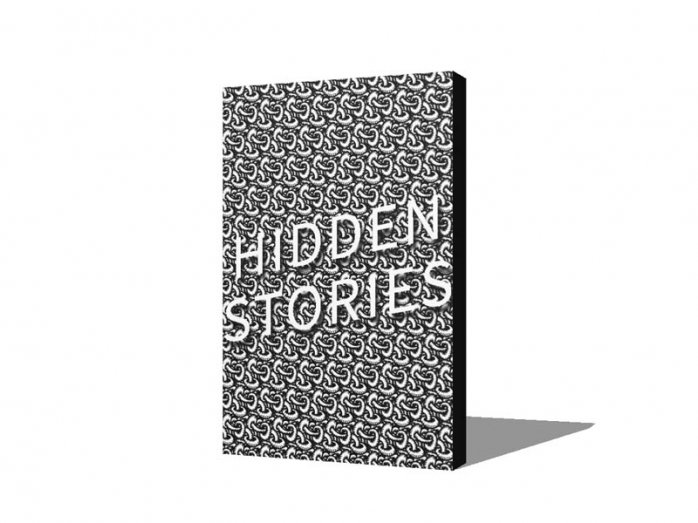 Hidden Stories Book Launch